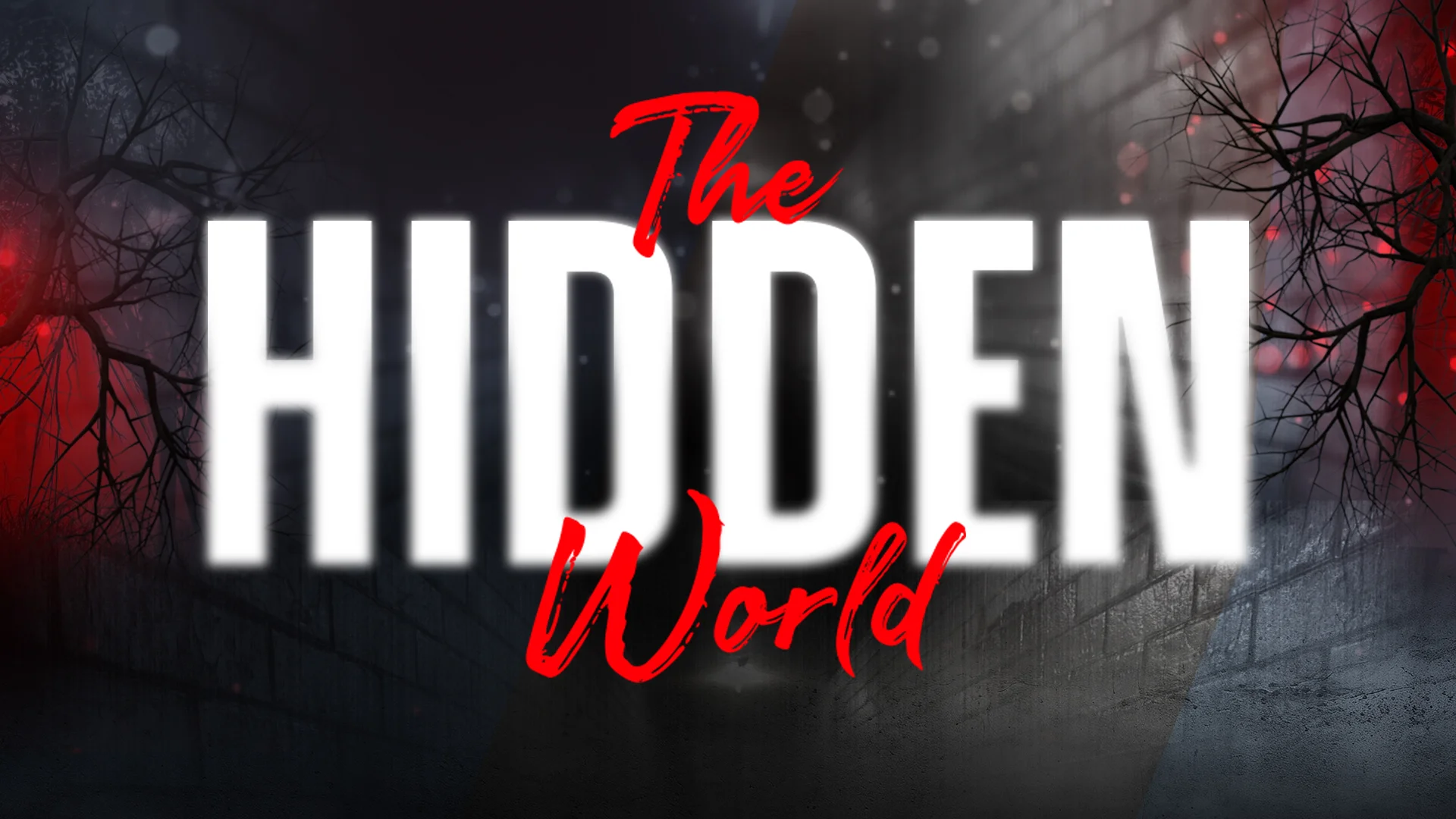 The Hidden World